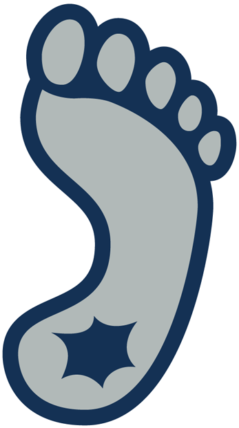 North Carolina Tar Heels 1999-2014 Alternate Logo v3 iron on transfers for clothing